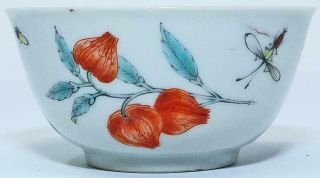 Chinese 18th C Famille Verte Tea Bowl Fruot,  Plums,  Insects,  Bugs