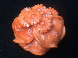 Magnificent Antique Natural Salmon Coral Floral With Leave Brooch.  12.  1gm.