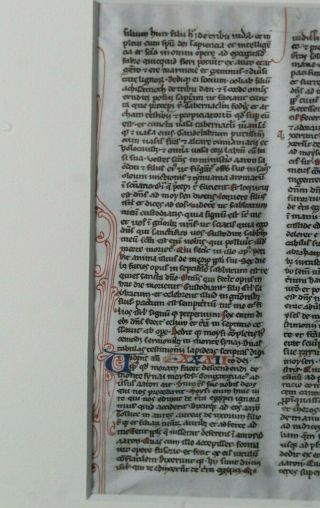 Antique 15thC or Earlier Hand Painted Illuminated Manuscript Page 1 8
