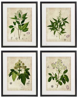 Vintage Botanical Floral No.  04 Art Home Wall Art Print Set Of 4 Prints Unframed