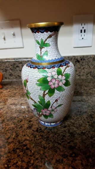 Chinese Metal Cloisonne & Off - White Enamel Vase W/ Cherry Blossoms And Swallow