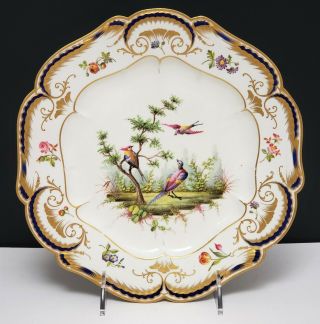 18th C Antique Sevres Porcelain Portrait Plate W Birds