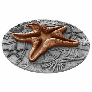 Starfish World of Fossils 2 oz Antique finish Silver Coin 2$ Niue 2019 2