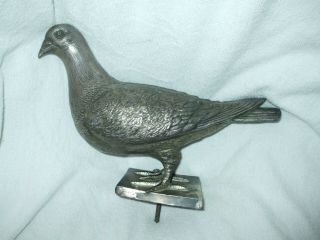 Antique Pigeon Racing Trophy With Large Impressive Model Of Racing Pigeon