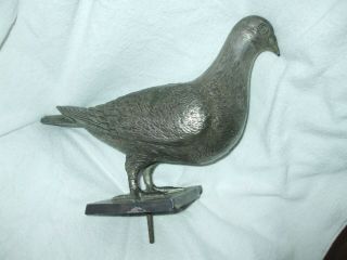 ANTIQUE PIGEON RACING TROPHY WITH LARGE IMPRESSIVE MODEL OF RACING PIGEON 3