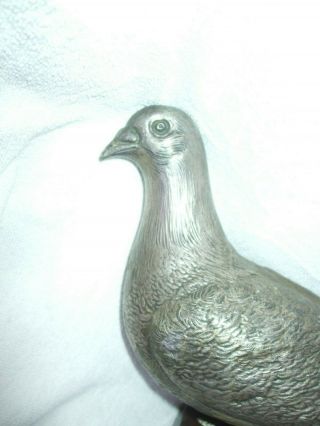 ANTIQUE PIGEON RACING TROPHY WITH LARGE IMPRESSIVE MODEL OF RACING PIGEON 5