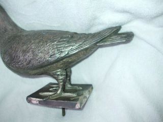 ANTIQUE PIGEON RACING TROPHY WITH LARGE IMPRESSIVE MODEL OF RACING PIGEON 7