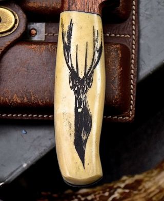 CFK Handmade D2 Custom WOLF & DEER Scrimshaw Bone Cocobolo Wood Hunting Knife 3