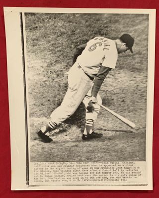 1962 Stan Musial St Louis Cardinals Press Photo Old Baseball 1960s Early Antique