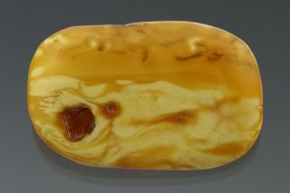 Vintage Antique Baltic Amber Egg Yolk White Brooch Pin 5.  4g 190110 - 4