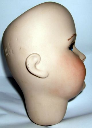 collectable large bisque porcelain dolls head germany 171 16 1/2 2