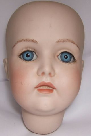 collectable large bisque porcelain dolls head germany 171 16 1/2 3