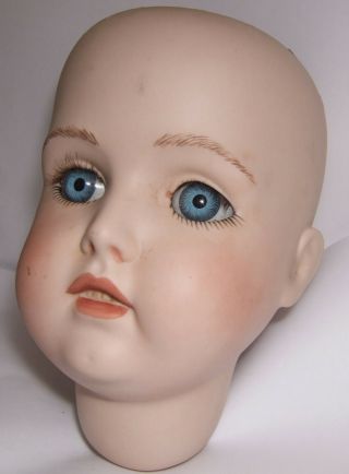 collectable large bisque porcelain dolls head germany 171 16 1/2 4