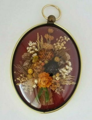 Vintage Dried Flower Frame Wall Decor Cideart Made In Belgium