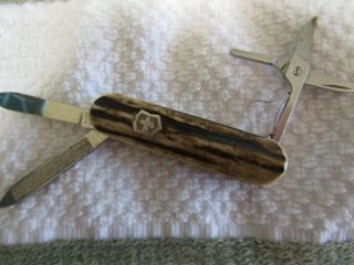Folding Knife.  Victorinox Classic Customized With Stag. ,