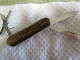 Folding Knife.  Victorinox Classic Customized With Stag. , 2