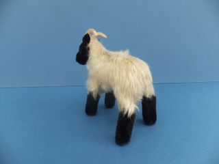Vintage German Steiff Mohair Toy Sheep Capricorn Goat,  Horns Firm Filled bear 3