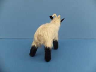 Vintage German Steiff Mohair Toy Sheep Capricorn Goat,  Horns Firm Filled bear 4