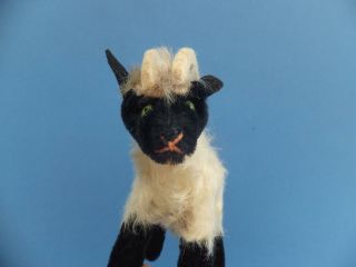 Vintage German Steiff Mohair Toy Sheep Capricorn Goat,  Horns Firm Filled bear 6