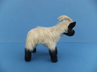 Vintage German Steiff Mohair Toy Sheep Capricorn Goat,  Horns Firm Filled bear 7