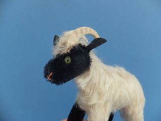 Vintage German Steiff Mohair Toy Sheep Capricorn Goat,  Horns Firm Filled bear 8