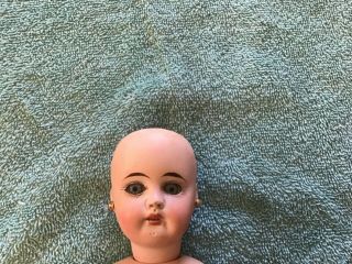 Antique Bisque Head Doll Mkd Germany Full Jointed Composition Body Estate Fi