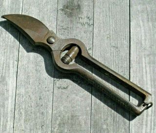 Antique Vintage Garden Tool Scudo Angesa Made In Italy Steel Pruning Shears