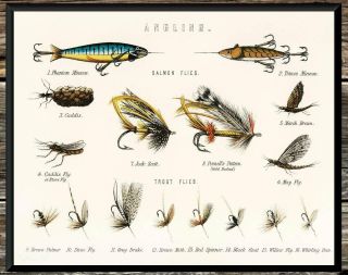 Classic.  Trout & Bass Flies Chart Vintage Fishing.  Vintage 8x10 Photo Print