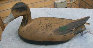 ANTIQUE CARVED WOOD GREY BILL DUCK DECOY GLASS EYED HAND PAINTED SIGNED C D 2