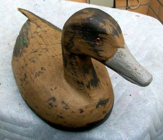 ANTIQUE CARVED WOOD GREY BILL DUCK DECOY GLASS EYED HAND PAINTED SIGNED C D 3