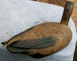ANTIQUE CARVED WOOD GREY BILL DUCK DECOY GLASS EYED HAND PAINTED SIGNED C D 5