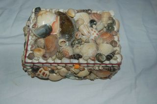 Sea Shell Folk Art Box Lined,  Age Unknown