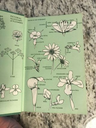 1968 Antique Flower Book 