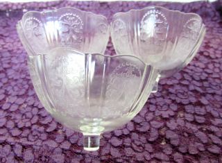 Antique Etched Floral Sherbet Glass Inserts For Metal Holder With Scalloped Rim