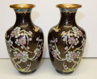 Small Oriental Black Cloisonne Prunus Vases