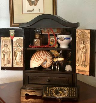 Renaissance Curiosity Cabinet Filled With Oddities Kunstkammer Unusual Antique