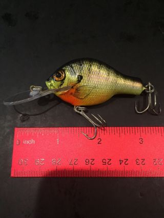 Bagley’s Small Fry Bream On Chart All Brass Deep