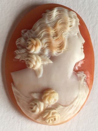 Antique Vintage Victorian Carved Shell Unframed Charm Pendant Cameo
