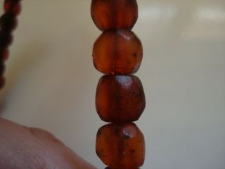 Real Old 1800 ' s Estate Antique Loose Honey Baltic Amber Beads 11 grams 3