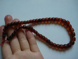 Real Old 1800 ' s Estate Antique Loose Honey Baltic Amber Beads 11 grams 7