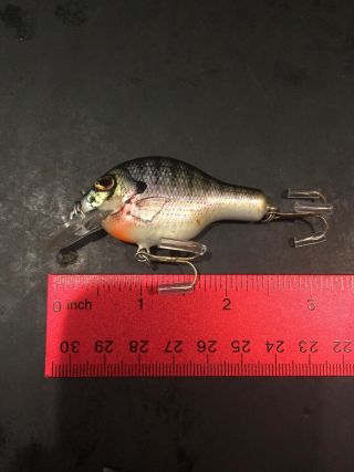 Bagley’s Small Fry Bream On White Shallow