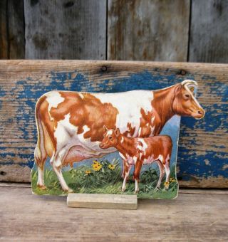 Antique Cardboard Farm Animal Wood Stand Guernsey Cow And Calf