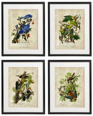 Vintage Bird & Botanical No.  5 Home Decor Wall Art Print Set Of 4 Prints Unframed