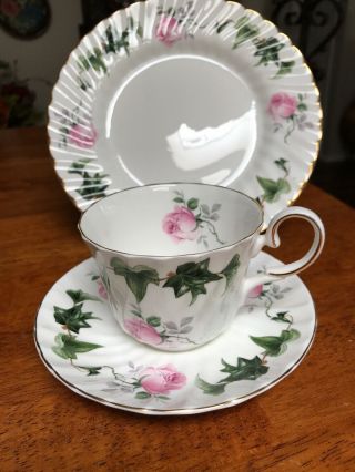 Allyn Nelson Bone China 3 Pc Lunch Set Cup & Saucer Lunch Plate Pink Roses Ivy
