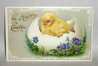 Antique Easter Greetings Postcard Grumpy Yellow Chick In Cracked Egg Shell