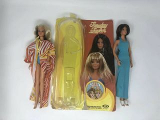 Ideal 1975 Barbie Doll Tuesday Taylor Blonde / Brunette Hair Set Of 2 W/ Card