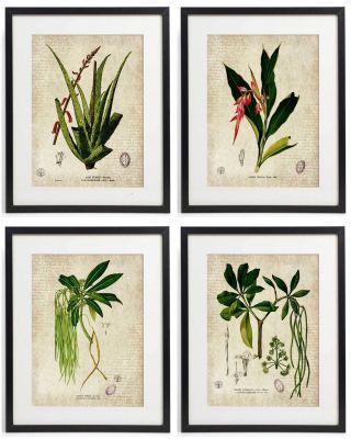 Vintage Botanical Floral No.  10 Art Home Wall Art Print Set Of 4 Prints Unframed