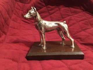 Doberman Statue Guard Dog Silver Plate Antique Vintage 3