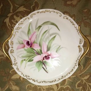 Antique T & V Limoges,  France,  Two Handled Plate,  Hand Painted,  Flowers,  Leaves