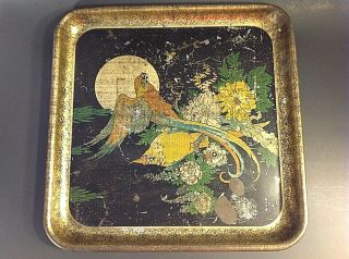 Antique Tin Parrots Serving Tray.  13 1/2 Inches By 13 1/2 Inches.